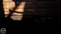 Peschereccio a strascico in vendita