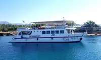 Catamarano in vendita