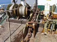 Trasportatore di merci sfuse in vendita