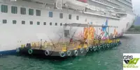 Chiatta in vendita