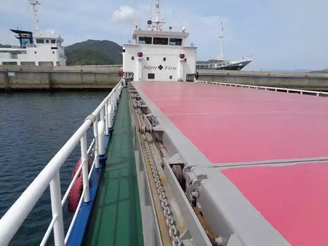 Trasportatore di merci sfuse in vendita