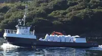 Imbarcazioni da lavoro in vendita