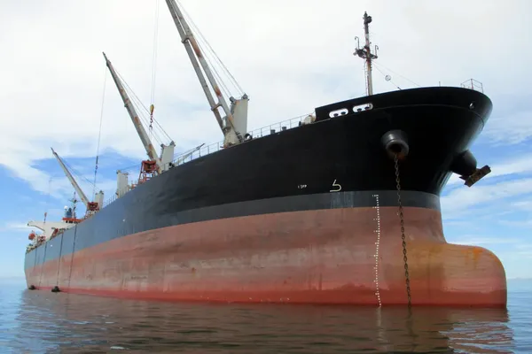 Bulk carrier for sale