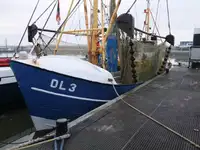 Peschereccio a strascico in vendita