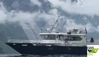 Nave Ro-Ro in vendita