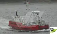 Nave Ro-Ro in vendita