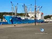 Nave refrigerata in vendita
