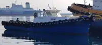 Barche da lavoro in vendita
