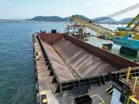 Chiatta in vendita