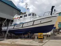 Portacontainer in vendita