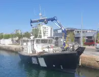 Barche da lavoro in vendita