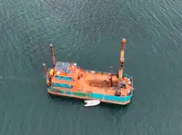 Barche da lavoro in vendita