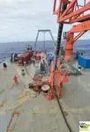 Portarinfuse in vendita