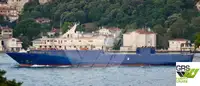 Ro-Ro ship in vendita