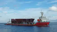 Trasportatore di merci sfuse in vendita