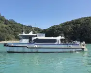 Catamarano in vendita