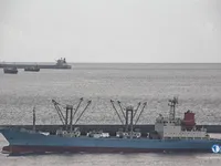Nave refrigerata in vendita