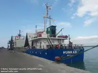 Trasportatore di merci sfuse in vendita