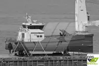 Nave di servizio per parchi eolici in vendita