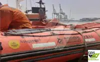 Nave da rilevamento in vendita