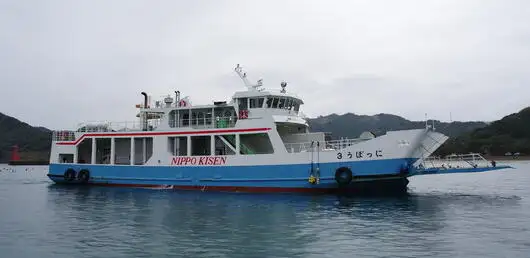 Nave Ro-Ro in vendita