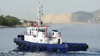 Rimorchiatore in vendita
