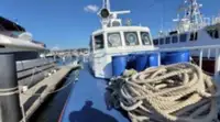 Pattugliatore in vendita