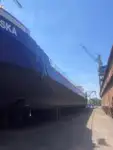 Trasportatore di merci sfuse in vendita