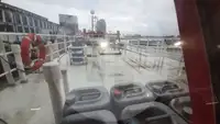 Trasportatore di pesce vivo in vendita