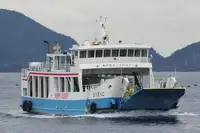 Nave Ro-Ro in vendita