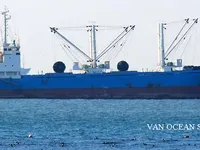 Nave refrigerata in vendita