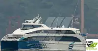 Barche da lavoro in vendita