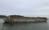 Chiatta in vendita