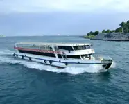 Traghetto in vendita