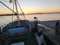 Peschereccio a strascico in vendita