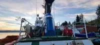 Rimorchiatore in vendita