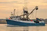 Purse seiner in vendita