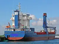 Trasportatore di merci sfuse in vendita