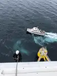Catamarano in vendita
