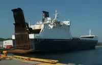 Trasportatore di merci sfuse in vendita