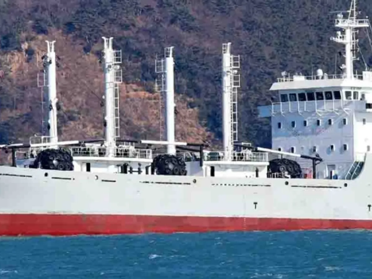 Nave refrigerata in vendita