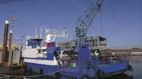 Trasportatore di merci sfuse in vendita