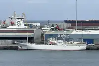 Trawler in vendita