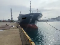 Trasportatore di merci sfuse in vendita