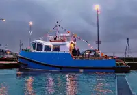 Rimorchiatore in vendita