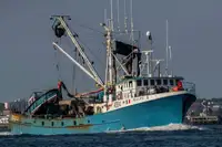 Purse seiner in vendita