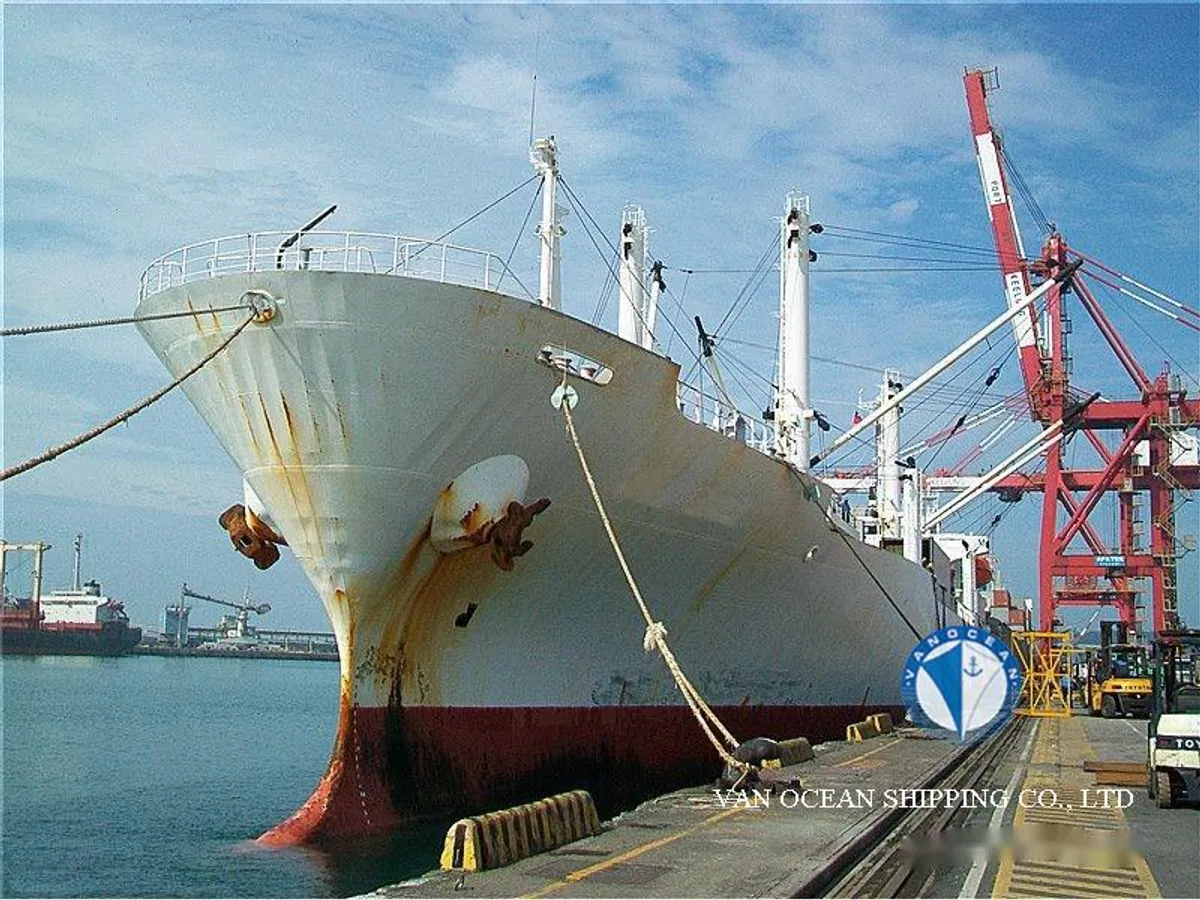 Nave refrigerata in vendita