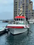 Pattugliatore in vendita