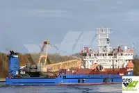 Trasportatore di merci sfuse in vendita