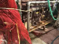 Peschereccio a strascico in vendita